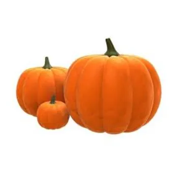 Fresh pumkin (16)-698468-20390.webp